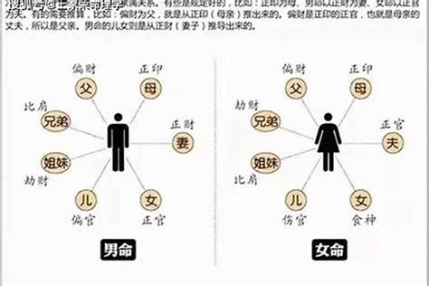 男命傷官多|伤官格男命详解 才华出众